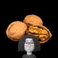 Sá avatar