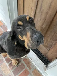 Charles Thompson 's avatar