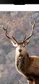 Shaun james avatar