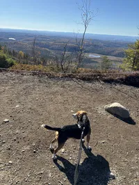 Lisa-Marie 's avatar