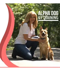 Janine Cantalupo 's avatar