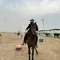 Hamad Bokhamseen  avatar