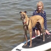 Betsy Ethington's avatar