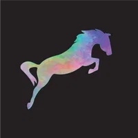 Dana Surrusco's avatar