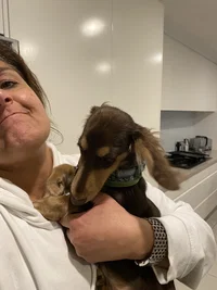 Jacqueline Robertson's avatar