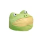 SavageFrog avatar