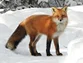 Xae769 avatar