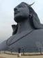 jayasree avatar