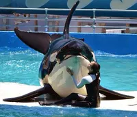 Heather Keenan's avatar