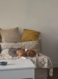 Phœbe et Thibault's avatar