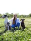 Abbey Floyd avatar