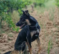 Marie-Agnès's avatar