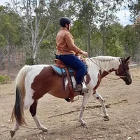 Kas K.'s avatar