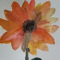 Vanessa Moorgen's avatar