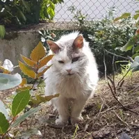 Marina Padovani's avatar