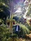 Bernd Nowinski avatar