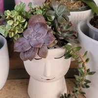 Lizbeth Escobar's avatar