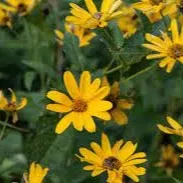 Sara Becker's avatar