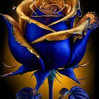 Bahir Atrafi's avatar