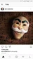 @lucasnt9080 avatar