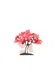 Anna Hamlett avatar
