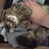 Nadia Abdali Cabrera's avatar