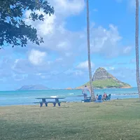 Joan Gilson's avatar