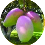 Doug Floweree's avatar