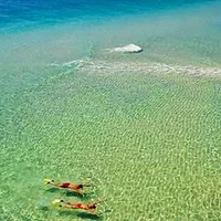 Little Bear's avatar