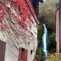 Trisha Hofferts's avatar