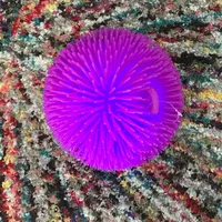 Shanna Little's avatar