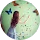 Sacha Mary Rotpirks avatar