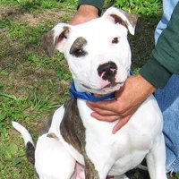 james collins's avatar