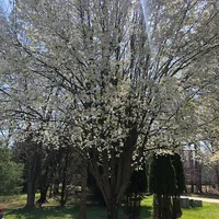 Danielle D’Ambra's avatar