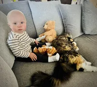 Lisa Olofsson's avatar