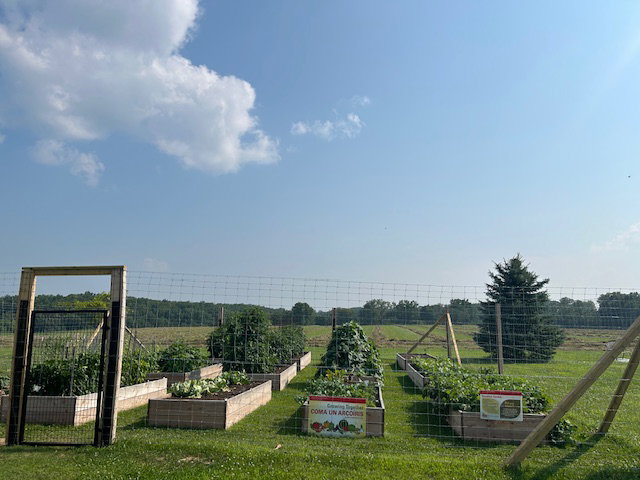 Raised beds at the Southeast Linn Community Center garden in Lisbon, Iowa