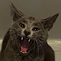 @doubtme6567 avatar
