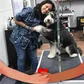 Mission Pawssible avatar