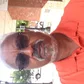 CARTER ENTERPRISES avatar