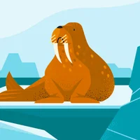 Rezaul Tanvir's avatar