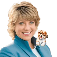 Stephanie Frank's avatar