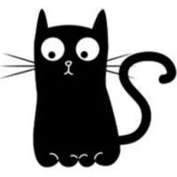 @rimazaeli's avatar